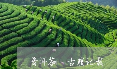 普洱茶 古籍记载/2023041015260